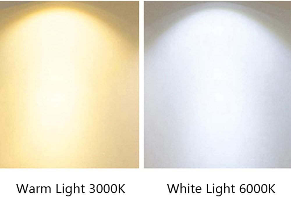 blissbells 10 Watt Gold Arm Wall LED Light (Warm White)