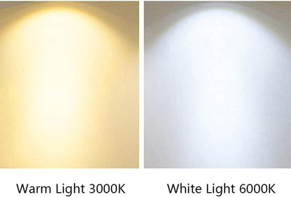 blissbells 10 Watt Gold Arm Wall LED Light (Warm White)