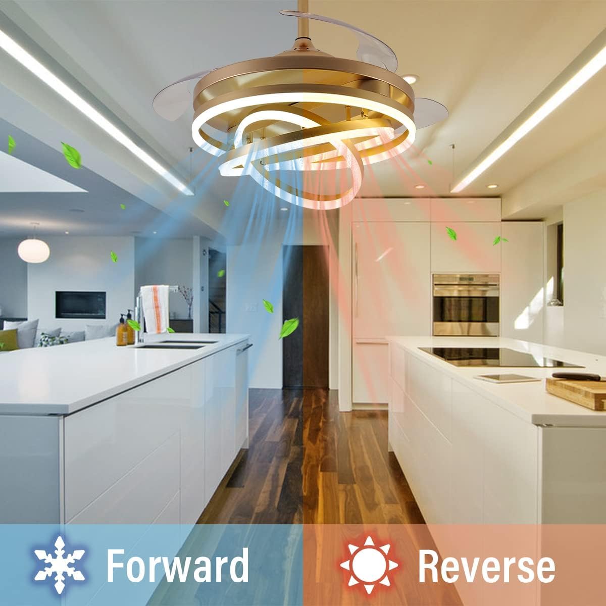 blissbells Modern LED Ceiling Fan with Remote Control, Retractable Blades, Chandelier Fan, Pack of 1 (Ring Style)